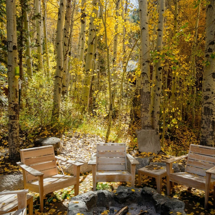 a group of wooden benches sitting next to a forest filled with trees
